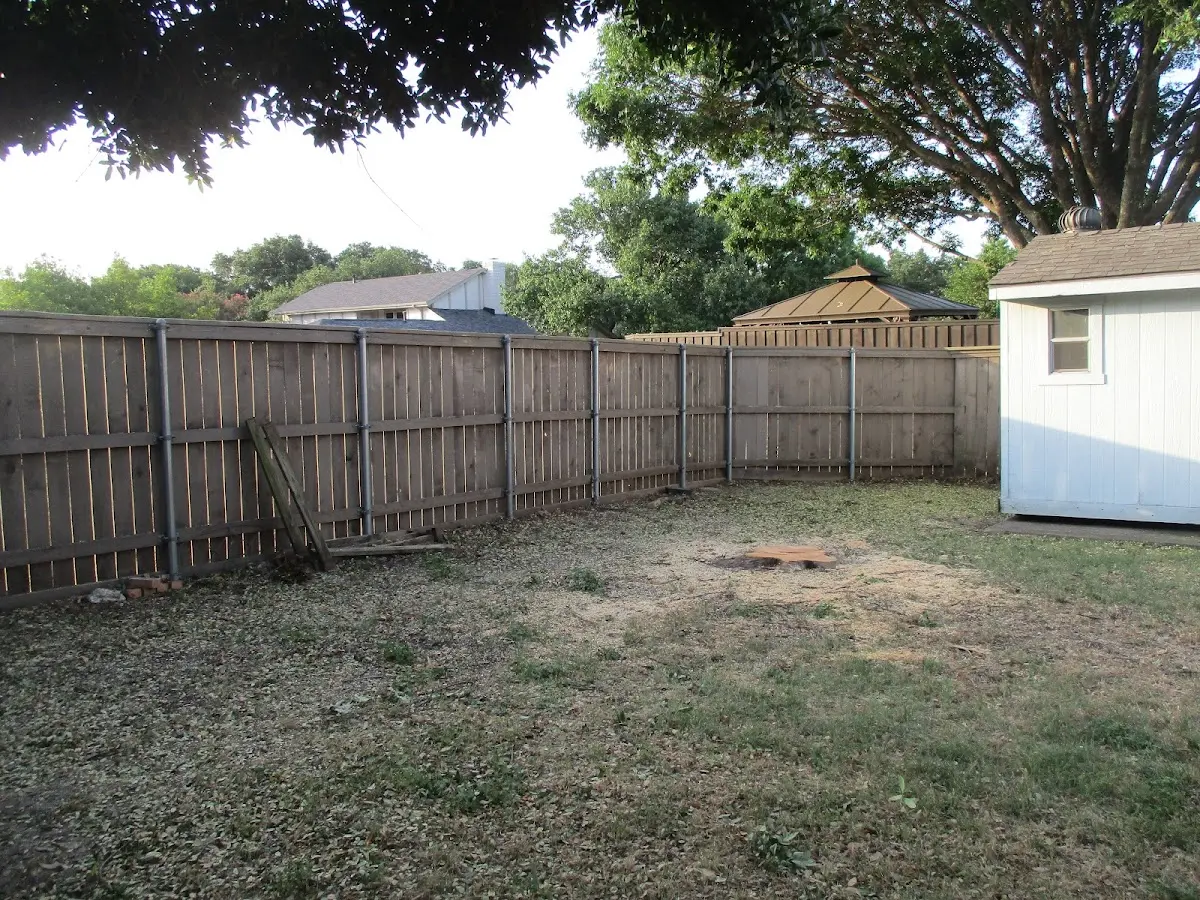 Cleared yard after professional tree removal in Salkum